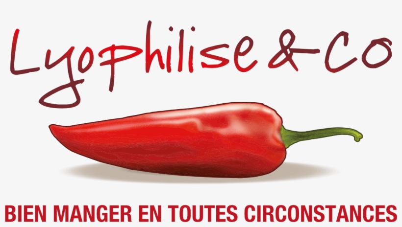 Follow The Adventure Live Starting From August The - Lyophilise & Co, transparent png download