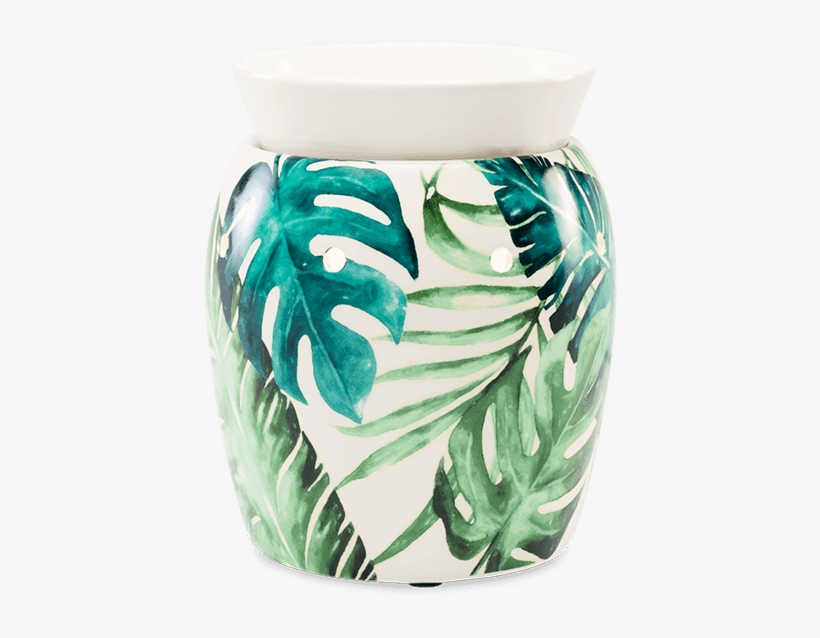 Rainforest Fern- Scentsy Warmer - Rainforest Fern Scentsy Warmer, transparent png download