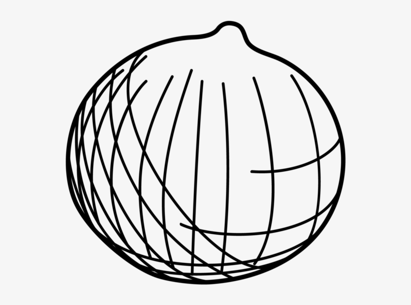 Chestnut Small-06 - Line Art, transparent png download