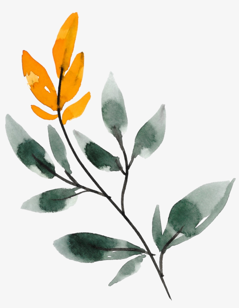 37 - Portable Network Graphics, transparent png download