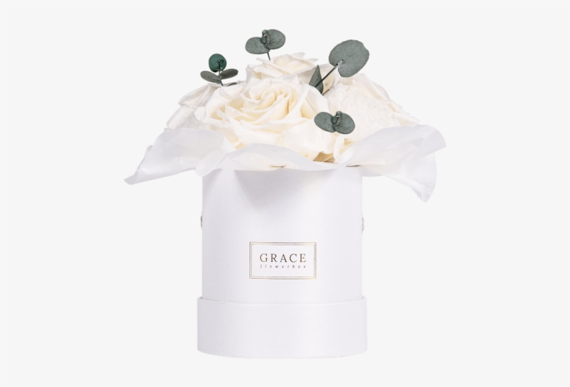 White Carnation - Portable Network Graphics, transparent png download