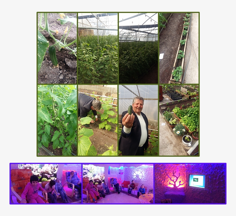 Dzorak Greenhouse Mari Izmirlyan Salt Cave - Dzorak, Syunik, transparent png download