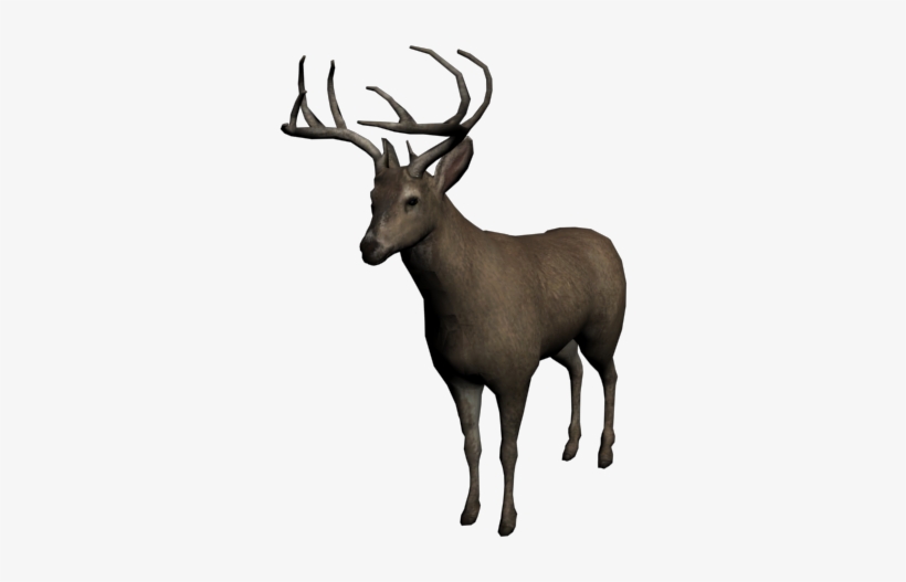 Ciervo Macho - Red Dead 2 Buck, transparent png download