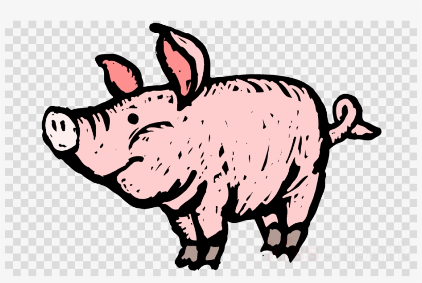 Download Pig Fingerplays Clipart Pulled Pork Anna's - Two Mother Pigs Finger Play, transparent png download