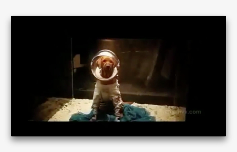 Cosmo The Space Dog, As Seen In The First Guardians - Говард Утка В Стражах, transparent png download