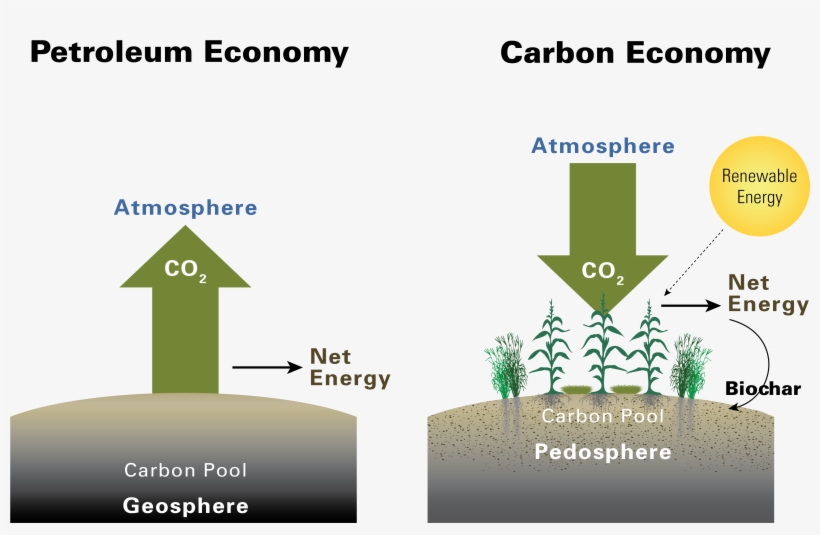Iowa State University And Bei Are Exploring The Possibility - Carbon Cycle, transparent png download
