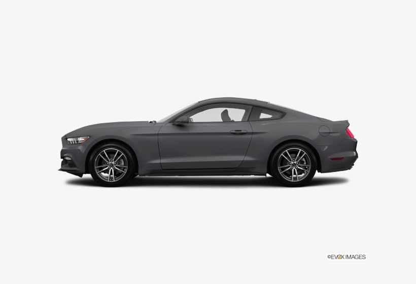 Used 2016 Ford Mustang In Tampa, Fl - 2019 Toyota Avalon Black, transparent png download