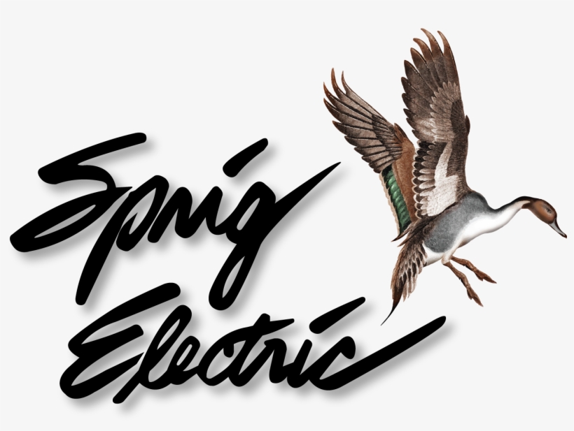 Sprig Electric, transparent png download