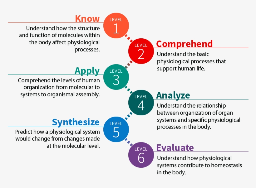 1 - 1 Objectives - Anatomy, transparent png download