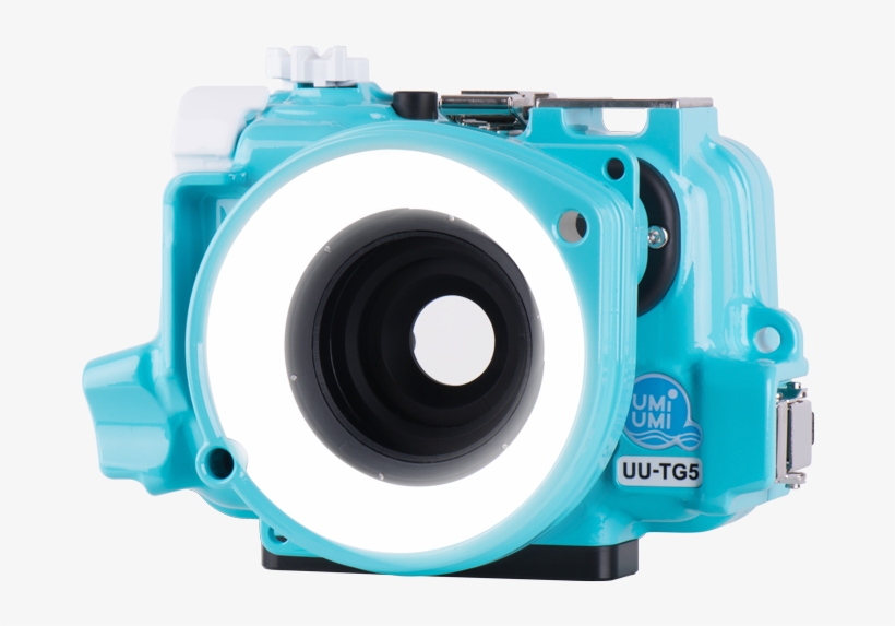 Light Up Your World - Umi Umi Tg5, transparent png download