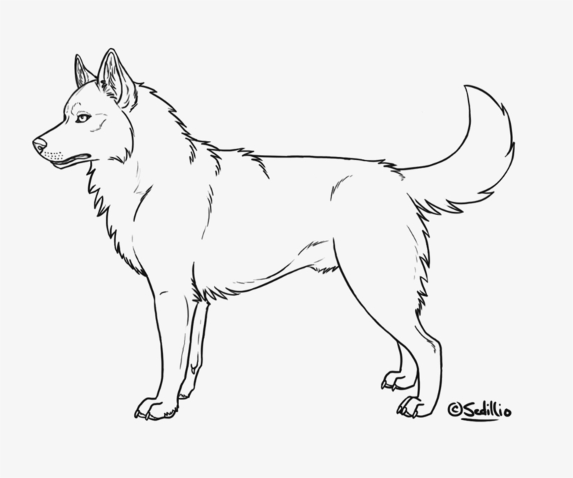 Free Siberian Husky Lineart By Sedillo - Siberian Husky Color Sheets, transparent png download