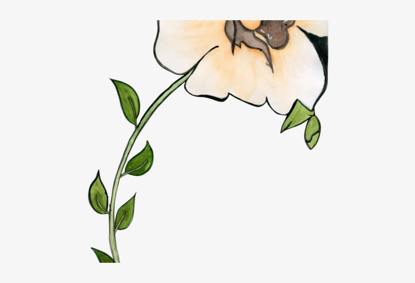 Free Flower - Flower, transparent png download