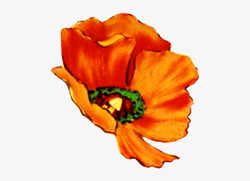 Digital Scrapbooking, transparent png download