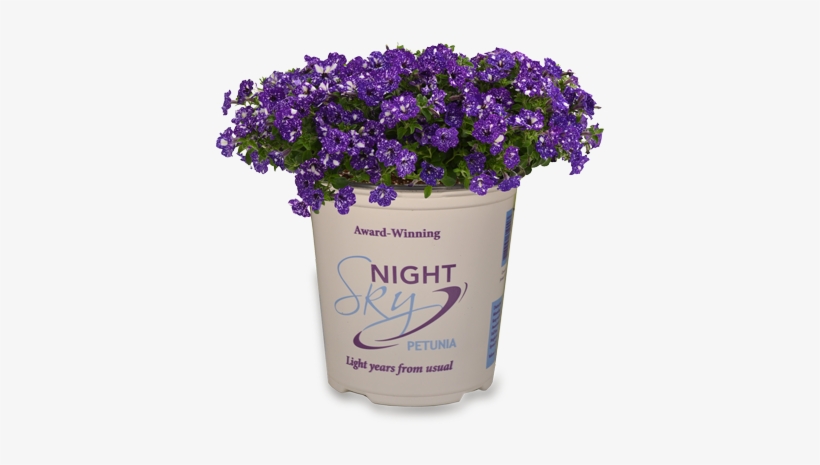 Night, transparent png download