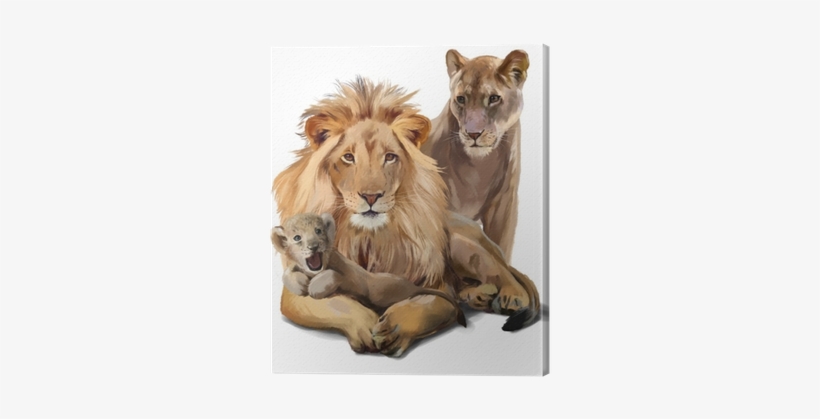 Lion Pride Watercolor Painting Canvas Print • Pixers® - Lion, transparent png download