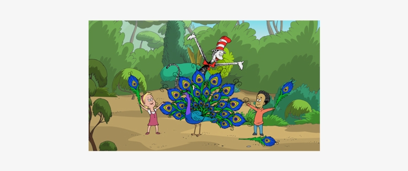 Posted By Pbs Publicity On Feb 18, 2014 At - Cat In The Hat S2: Fun Feathered Friends [dvd] Usa, transparent png download