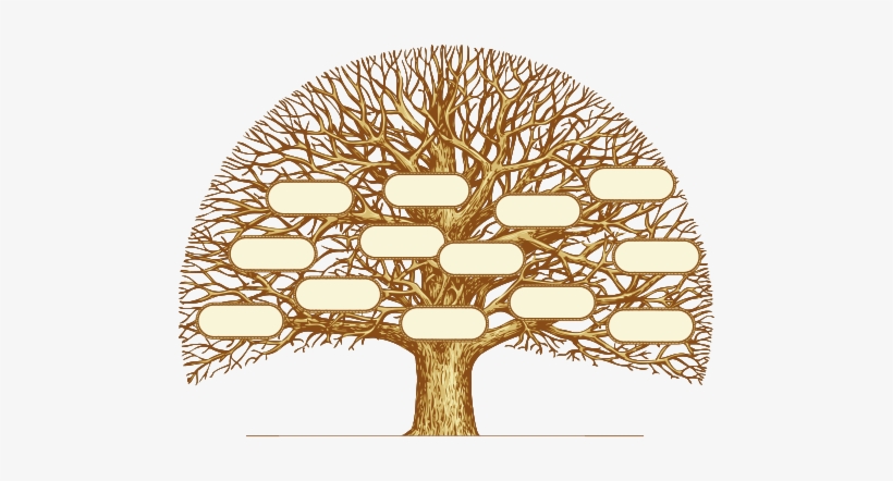 Scottish Genealogy Research - Composer Genealogies: A Compendium Of Composers, Their, transparent png download