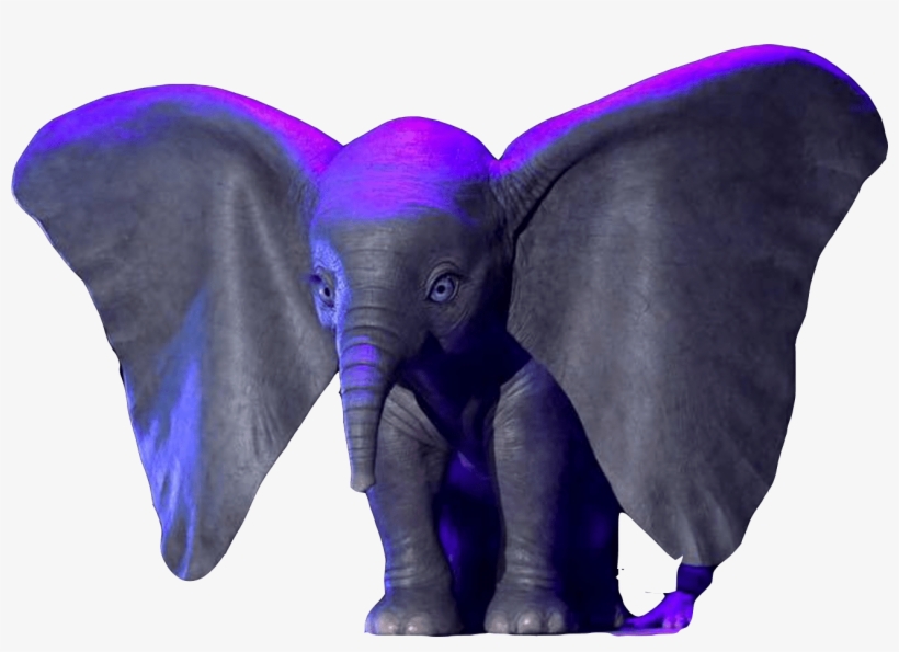 Dumbo March 29 2019, transparent png download