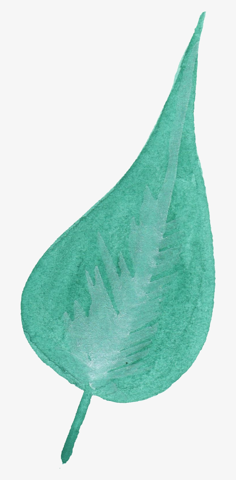 Free Download - Sock, transparent png download