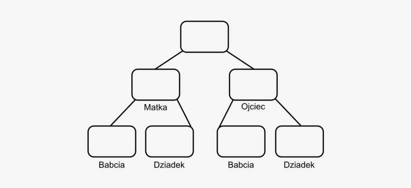 This Image Rendered As Png In Other Widths - Family Tree Diagram Transparent, transparent png download