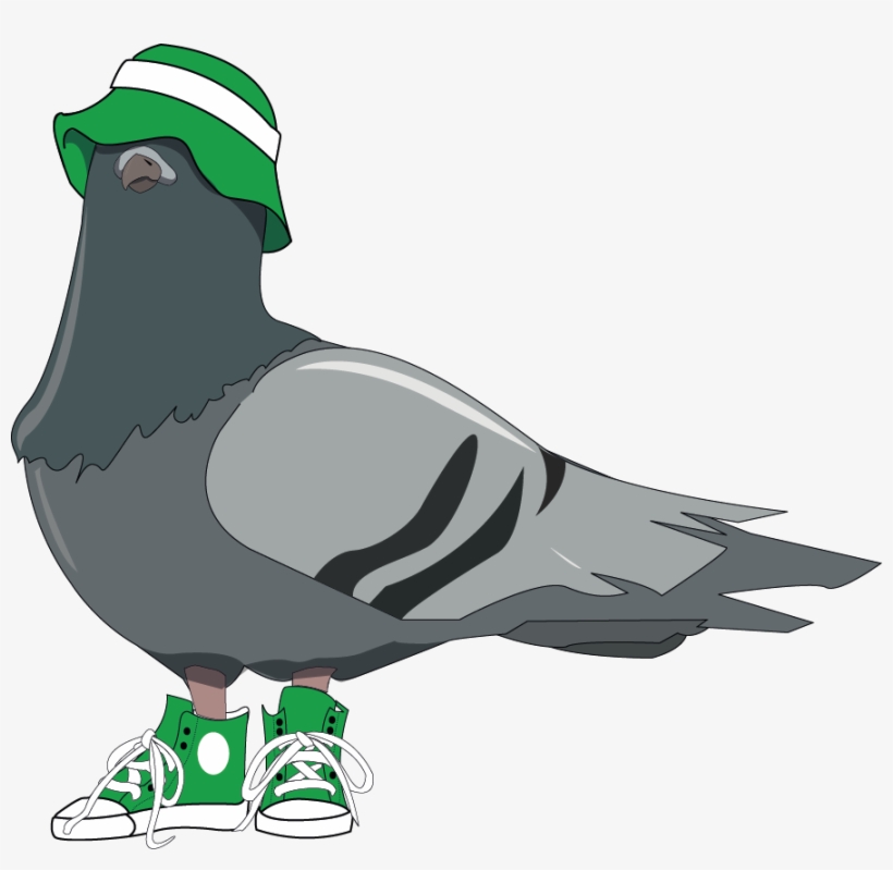 Pigeon King Dove Pigeon, Hello Brooklyn - Transparent Pigeon, transparent png download