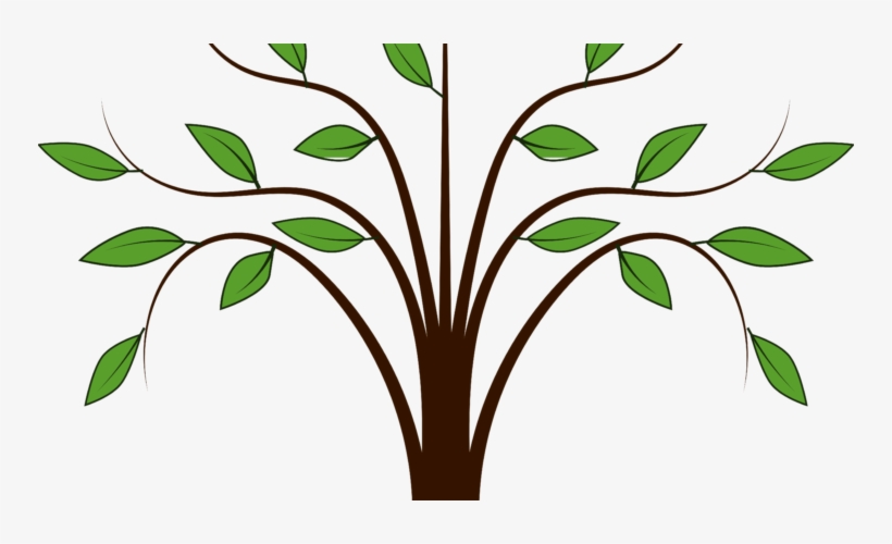 Family Tree - Tree Clipart, transparent png download