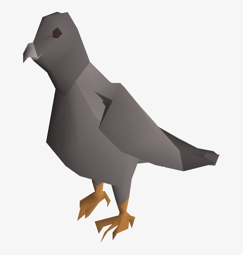 Pigeon - Pigeon Png, transparent png download