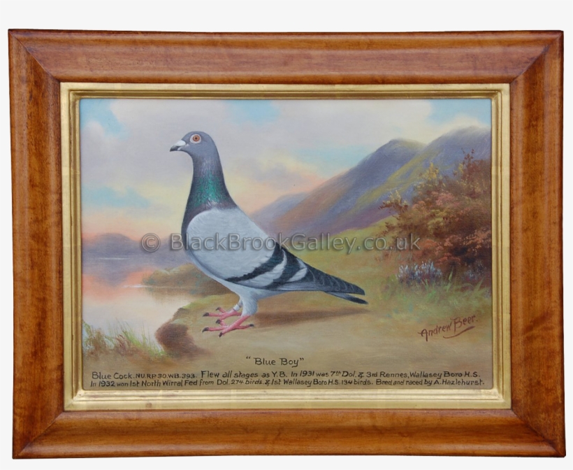 More Views - Andrew Beer, transparent png download