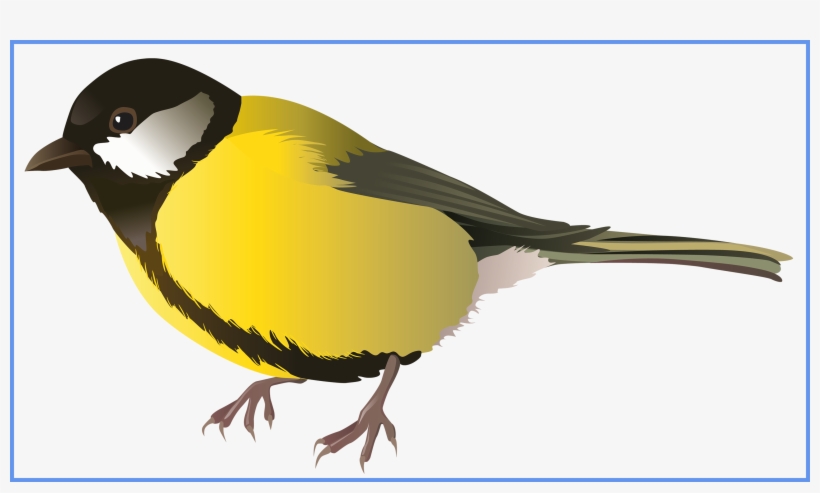 Inspiring The Face Of Sacred Moments Bird And Animal - Transparent Background Bird Clip Art, transparent png download