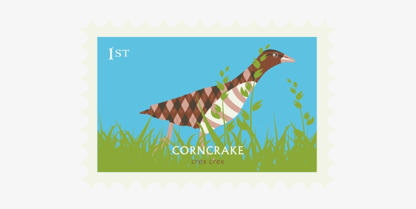 Coll Bird Festival May - Festival, transparent png download