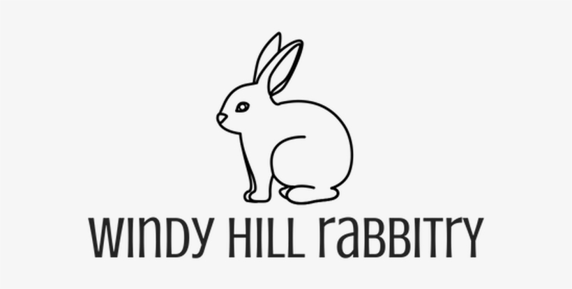 Domestic Rabbit, transparent png download