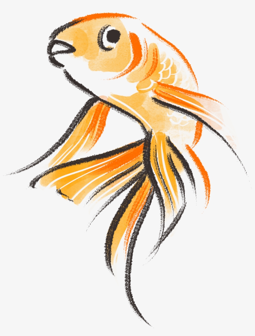 Anthony Greentree on X animalmarch Quick pencil sketch of a Goldfish  thedailysketch TuesdayMotivation art artist sketch  httpstcopLsdJOBZ6A  X