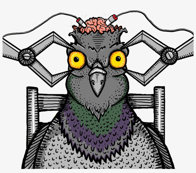 [interview] Pigeons Playing Ping Pong Talk Ties To, transparent png download