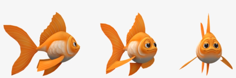 Goldfish, transparent png download