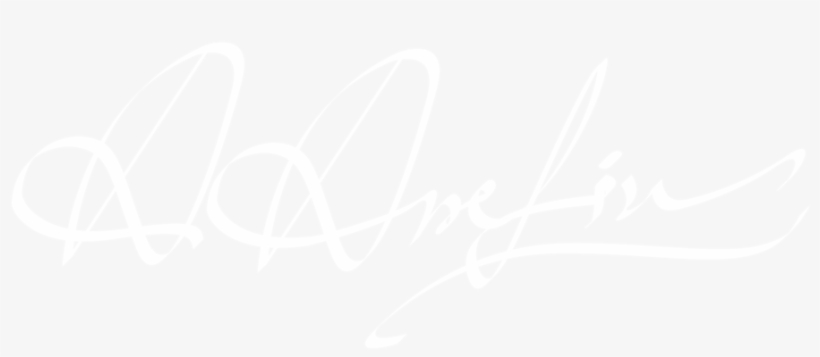 Ashraful Arefin Photography - Twitter White Icon Png, transparent png download