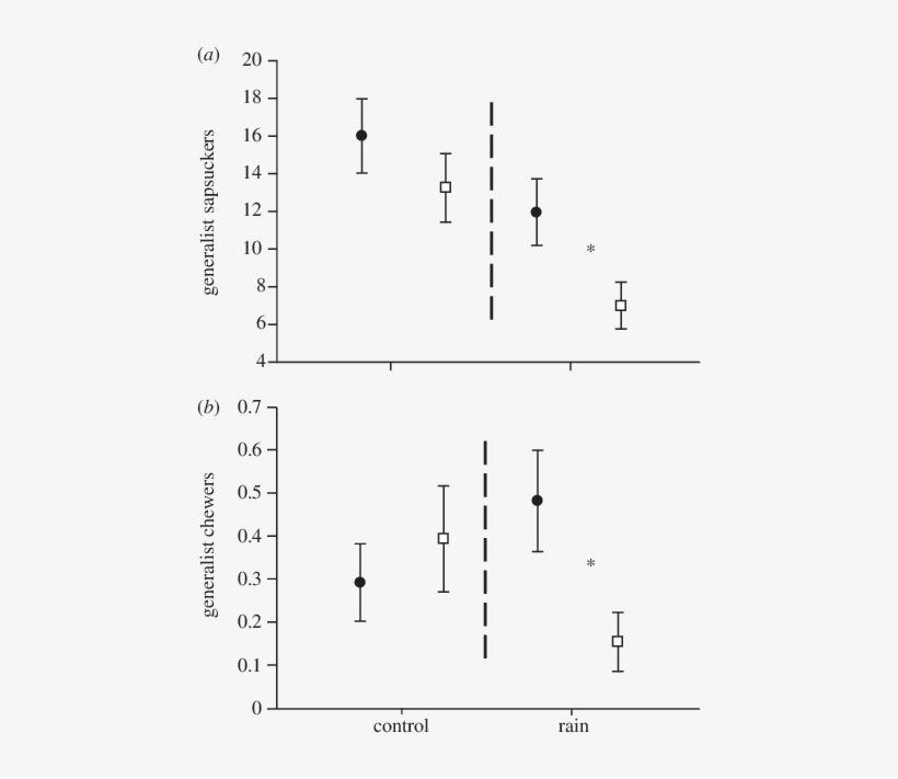 The Effect Of Climate Change And Detritivores (d Þ - Capox, transparent png download