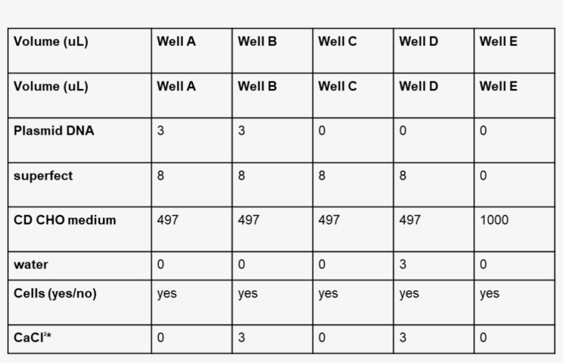 Pictures Of The Cells Were Taken Under The Phase-contrast - Number, transparent png download