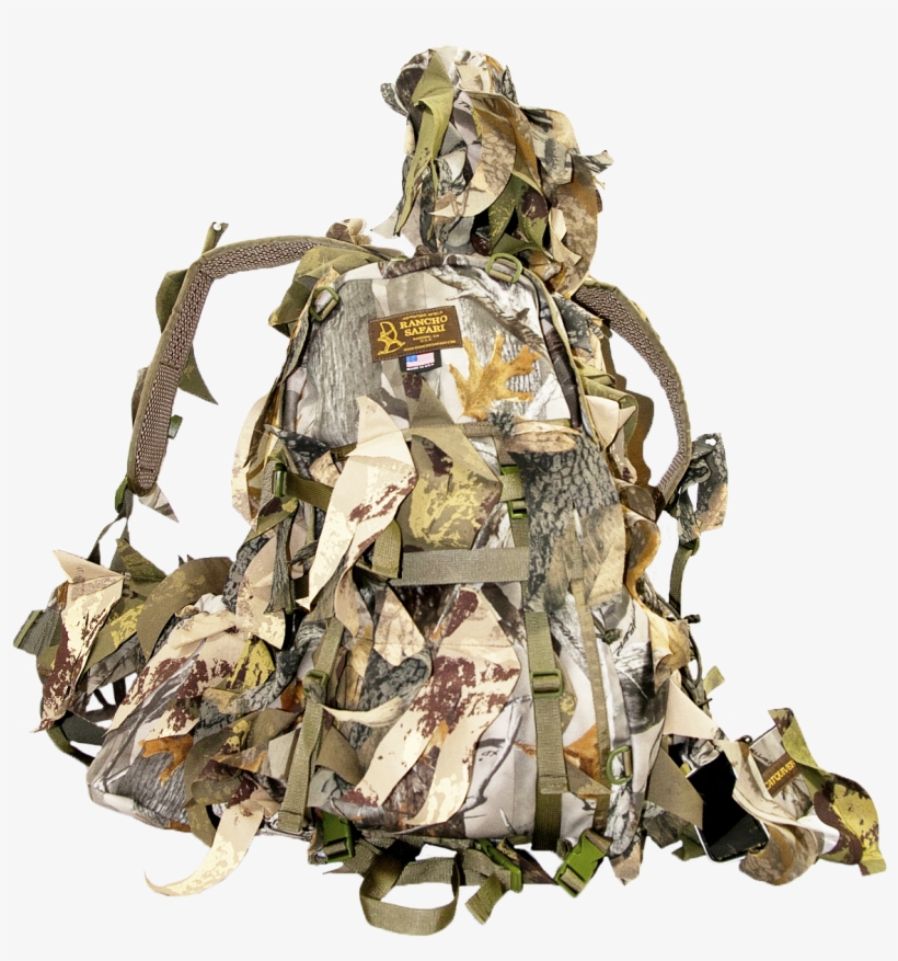 Catquiver Vii Shaggie - Illustration, transparent png download