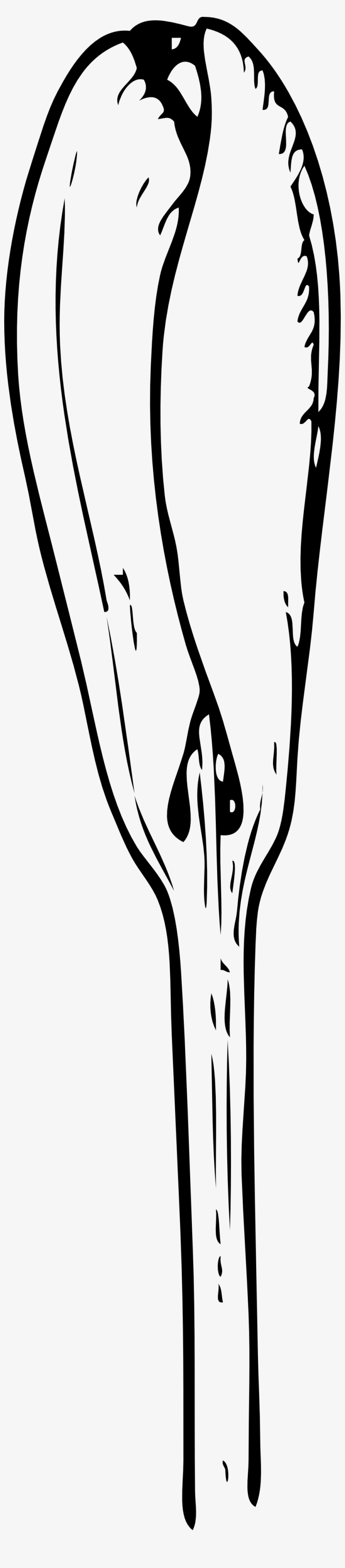 Xochi Crocus Bud 999px - Bud Black And White, transparent png download