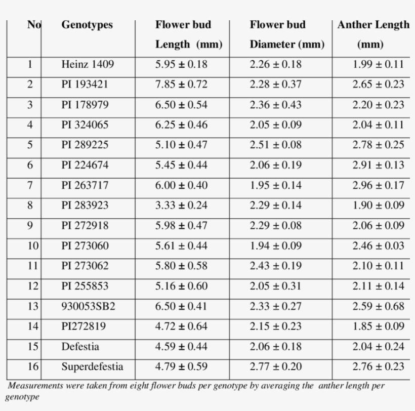 Anther Length, Flower Bud Length And Flower Bud Diameter - Flower, transparent png download