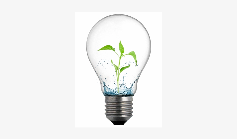 Teacher Development Initiative Bptc Launches School - Incandescent Light Bulb, transparent png download