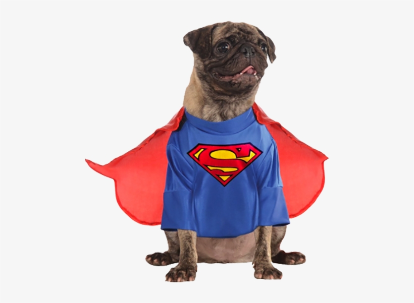 Superman And Lois Lane - Dc Comics Superman Classic Costume For A Dog, transparent png download
