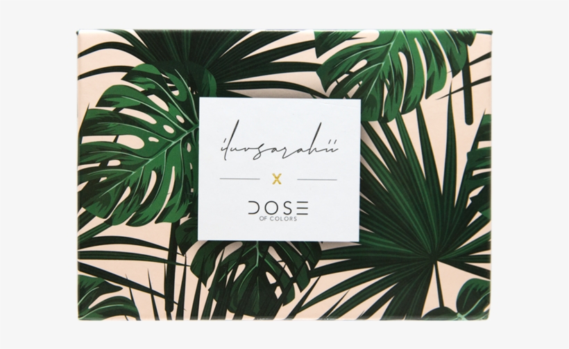 Iluvsarahii Eyeshadow Palette - Dose Of Colors X Iluvsarahii Eyeshadow Palette, transparent png download