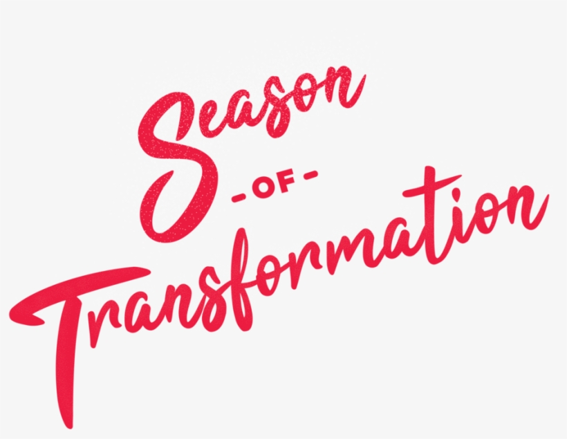 Sot Graphic - Calligraphy, transparent png download