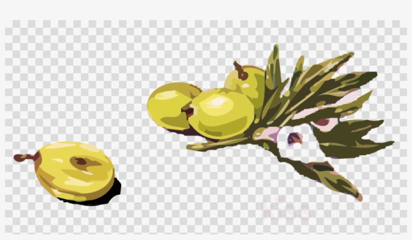 Olives Clipart Olive Clip Art - Clip Art, transparent png download