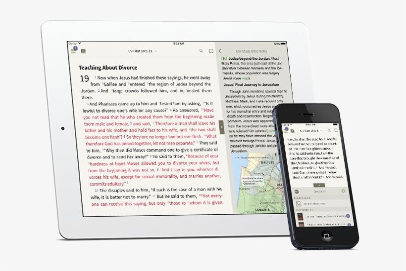 The Olive Tree Bible App - Iphone, transparent png download