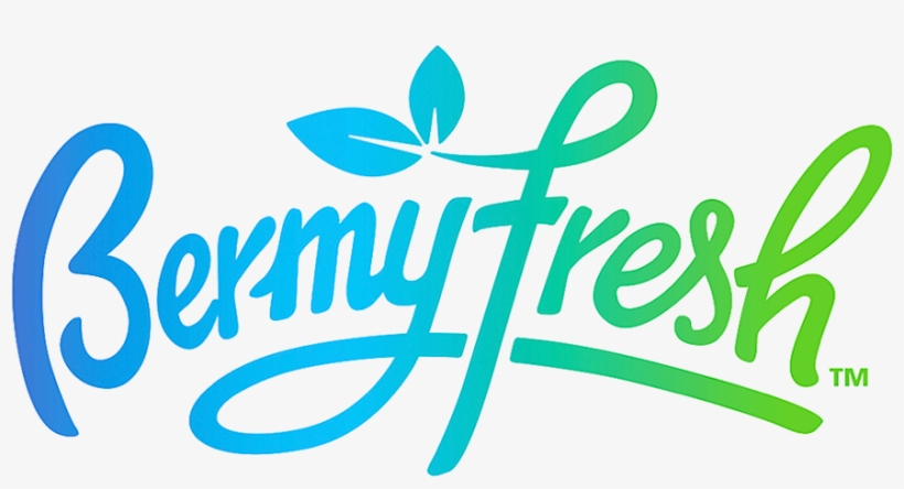 Bermyfresh Bermyfresh Bermyfresh Bermyfresh - Bermy Fresh, transparent png download