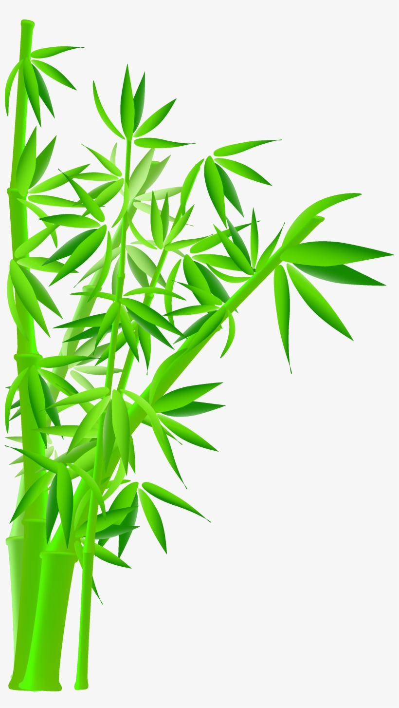 Green Bamboo Png Graphic Black And White, transparent png download