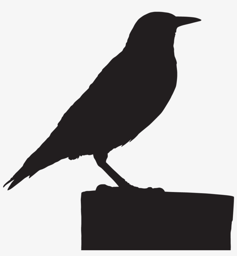 European Starling - American Crow, transparent png download
