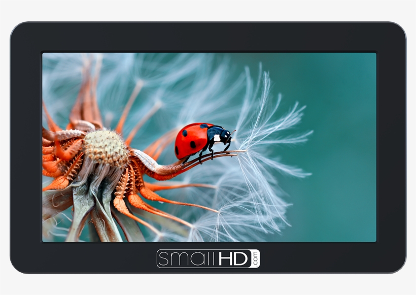 Shop Now Focus Series - Smallhd Focus 5" On-camera Monitor, transparent png download